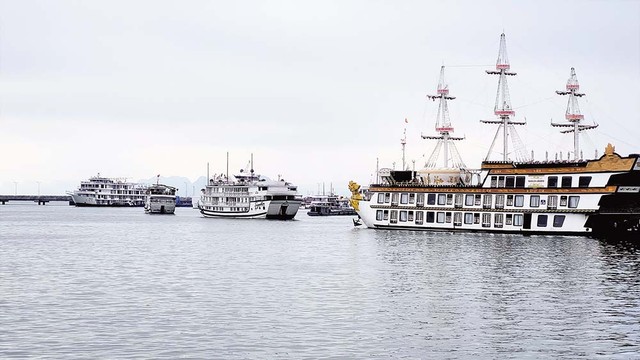 Du lịch trên vịnh Hạ Long luôn gắn với việc bảo vệ di sản thiên nhiên thế giới (Ảnh:T.Tân)