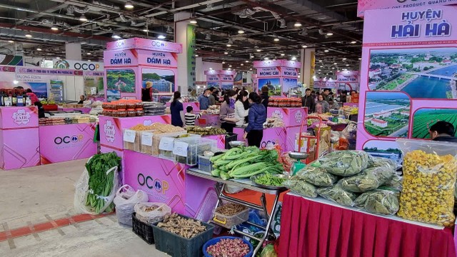 Gian hàng trưng bày các sản phẩm OCOP của các địa phương trong tỉnh Quảng Ninh. Ảnh: Quỳnh Nga Gian hàng trưng bày các sản phẩm OCOP của các địa phương trong tỉnh Quảng Ninh. Ảnh: Quỳnh Nga