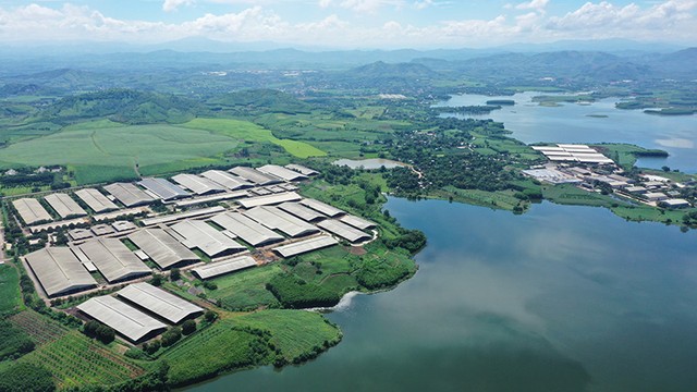 Tháng 12/2020, Trang trại TH xác lập kỷ lục thế giới “Cụm trang trại tập trung ứng dụng công nghệ cao với quy trình sản xuất khép kín quy mô lớn nhất thế giới” do Liên minh Kỷ lục Thế giới chứng nhận và đến nay, kỷ lục thế giới này vẫn do TH nắm giữ Tháng 12/2020, Trang trại TH xác lập kỷ lục thế giới “Cụm trang trại tập trung ứng dụng công nghệ cao với quy trình sản xuất khép kín quy mô lớn nhất thế giới” do Liên minh Kỷ lục Thế giới chứng nhận và đến nay, kỷ lục thế giới này vẫn do TH nắm giữ