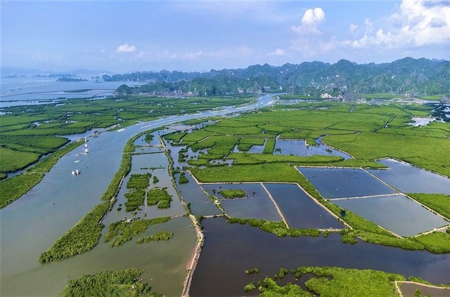 Hải Phòng đề xuất thí điểm cơ chế tài chính thực hiện biện pháp giảm phát thải khí nhà kính theo các cơ chế trao đổi, bù trừ tín chỉ các-bon. Hải Phòng đề xuất thí điểm cơ chế tài chính thực hiện biện pháp giảm phát thải khí nhà kính theo các cơ chế trao đổi, bù trừ tín chỉ các-bon.