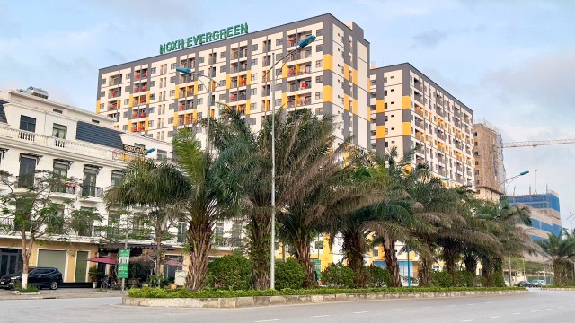 Nhà ở xã hội Dự án nhà ở xã hội Evergreen Tràng Duệ có vị trí nằm ngay cạnh Khu công nghiệp Tràng Duệ, Hải Phòng. Ảnh: Quỳnh Nga