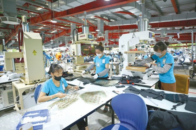 Doanh nghiệp Việt Nam cần từng bước đồng thời đầu tư công nghệ, chuyển đổi số để đáp ứng tiêu chuẩn ngày càng cao của các đối tác thương mại lớn. Ảnh: Tiên Giang