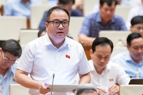 Đại biểu Phạm Trọng Nghĩa tham gia thảo luận.