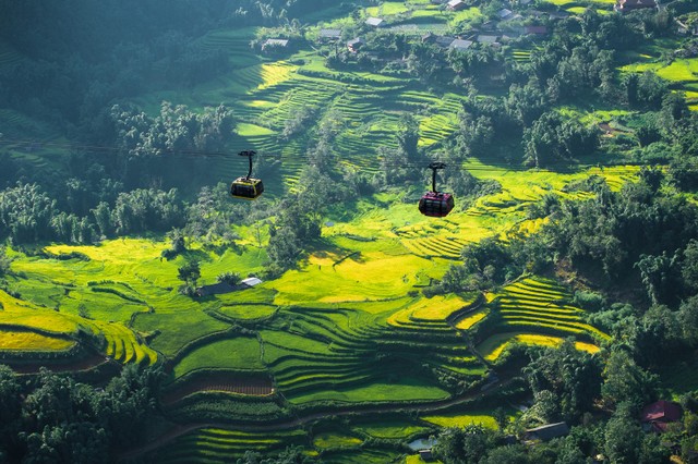 Không phải ngẫu nhiên mà Travel + Leisure - tạp chí du lịch danh tiếng của Mỹ đã xếp ruộng bậc thang Sa Pa vào danh sách những kỳ quan ruộng bậc thang đẹp nhất thế giới. Chỉ khi đứng giữa không gian vàng óng của mùa lúa chín, người ta mới thực sự hiểu vì sao những “nấc thang” lên trời ấy lại trở thành biểu tượng, khiến bao du khách phương xa mê đắm. (Ảnh: Bảo Long)