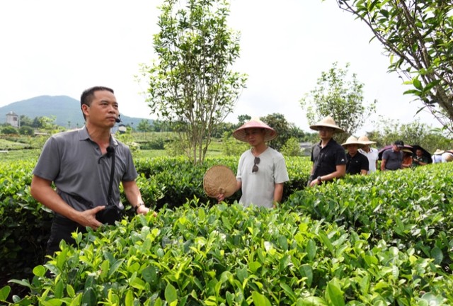 Các đại biểu khảo sát Tiến Yên Famstay. Các đại biểu khảo sát Tiến Yên Famstay.