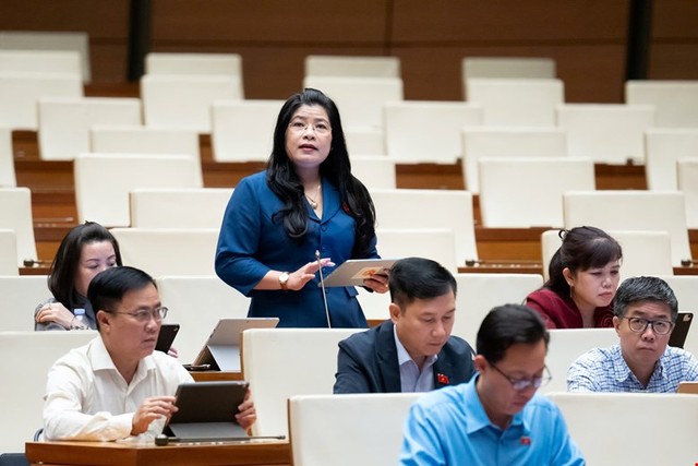 Đại biểu Đàng Thị Mỹ Hương. Đại biểu Đàng Thị Mỹ Hương.