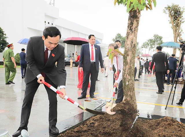 Bí thư Trung ương Đảng, Bí thư Thành ủy TP.HCM Trần Lưu Quang trồng cây lưu niệm tại khuôn viên Quảng trường Phan Ngọc Hiển, tỉnh Cà Mau.