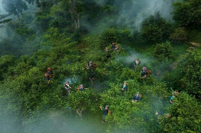 Hợp tác xã Hệ sinh thái Du lịch Suối Giàng đã chọn phụ nữ Mông làm trung tâm của chiến lược phát triển. Hợp tác xã Hệ sinh thái Du lịch Suối Giàng đã chọn phụ nữ Mông làm trung tâm của chiến lược phát triển.