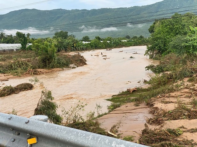 Nhiều diện tích hoa màu của người dân địa phương bị thiệt hại do ảnh hưởng của mưa lũ tại xã Tuy Phong, tỉnh Lâm Đồng.