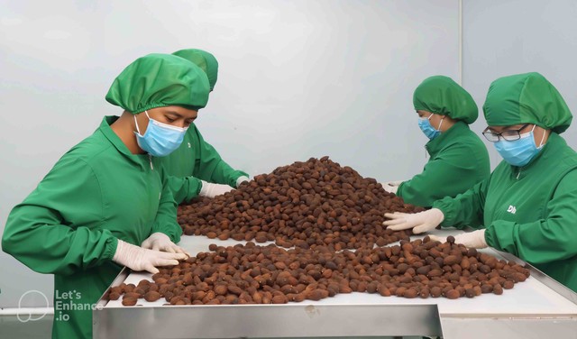 Thương mại điện tử xuyên biên giới buộc doanh nghiệp phải thay đổi tư duy quản trị, đầu tư bài bản vào công nghệ và logistics. Thương mại điện tử xuyên biên giới buộc doanh nghiệp phải thay đổi tư duy quản trị, đầu tư bài bản vào công nghệ và logistics.