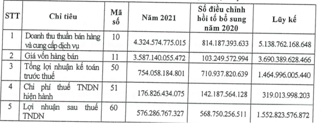Số liệu Báo cáo tài chính hợp nhất 2021