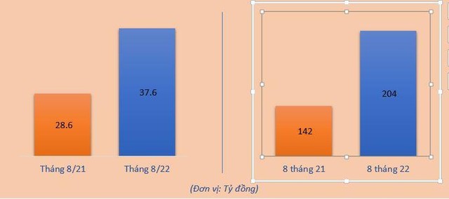 Lợi nhuận của TNG Lợi nhuận của TNG