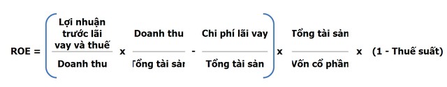 Goldman Sachs lưu ý nhà đầu tư cách nhìn khác về ROE ảnh 2