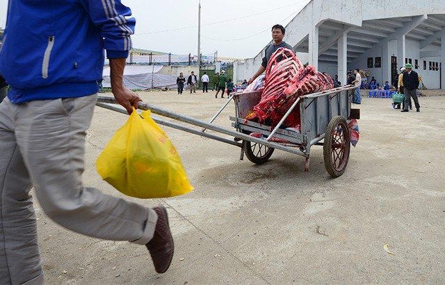 Người dân nô nức đi xem chọi trâu ngày đầu năm mới ảnh 14