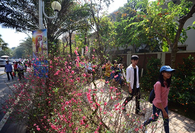 Không gian xưa được tái hiện trong khu đô thị mới ảnh 7