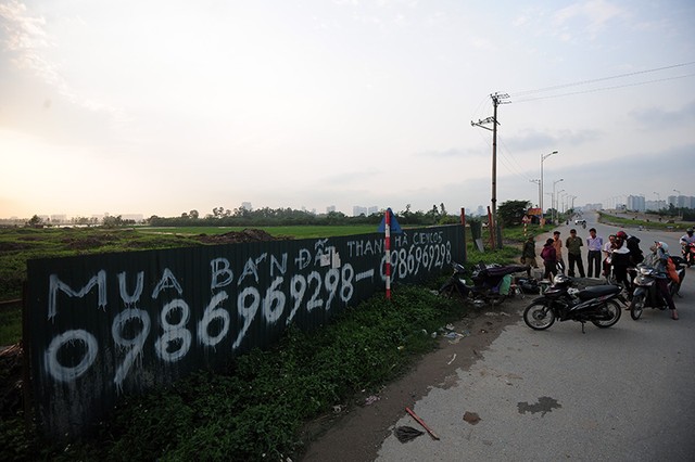 Phơi miến, chăn bò tại dự án đại gia “điếu cày” mới sắm ảnh 11