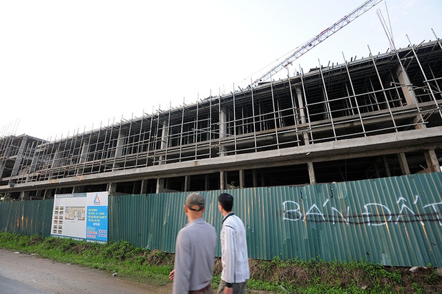 Phơi miến, chăn bò tại dự án đại gia “điếu cày” mới sắm ảnh 12