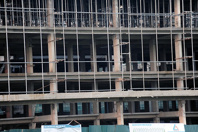 Phơi miến, chăn bò tại dự án đại gia “điếu cày” mới sắm ảnh 4