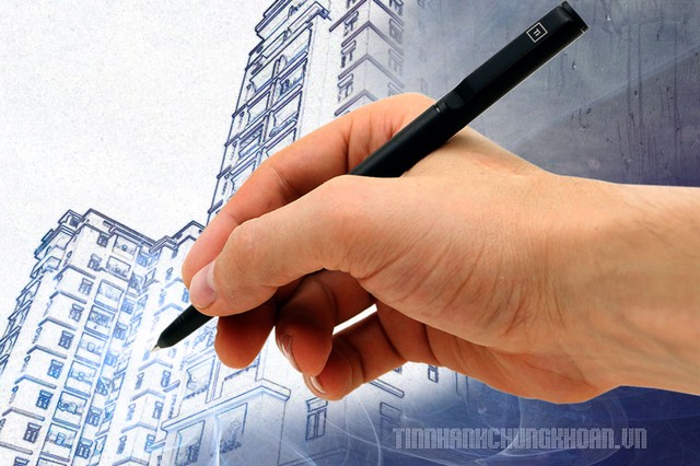 Nhìn lại một năm bất động sản phía Nam ảnh 1