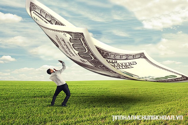 Lương thưởng CEO và nỗi lòng cổ đông ảnh 1