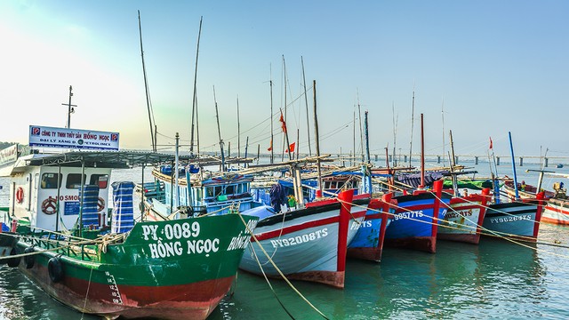 Giao lưu trực tuyến: “Phú Yên – Điểm đến hấp dẫn nhà đầu tư” ảnh 73