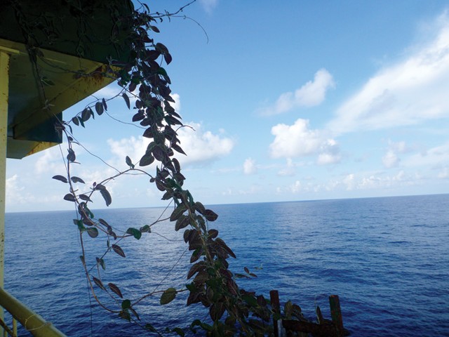 Chuyện những khay đất ở Trường Sa... ảnh 5 Chuyện những khay đất ở Trường Sa... ảnh 5