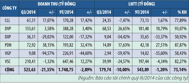 Doanh nghiệp cảng chưa thấy điểm sáng ảnh 1