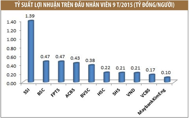 Khẩu vị rủi ro và hiệu quả đầu tư của các CTCK ảnh 5