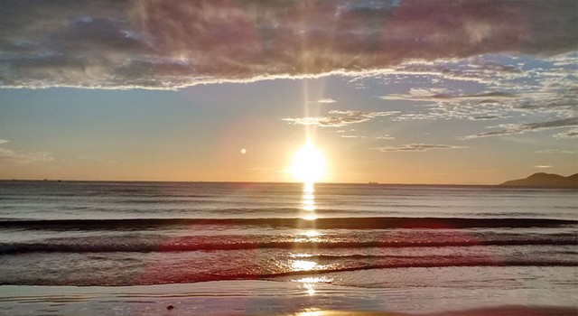 Nếu một lần bạn đi về phía biển ảnh 1