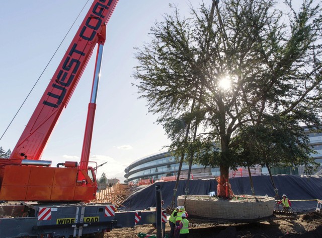 “Tàu vũ trụ” của Apple sắp cất cánh ảnh 3