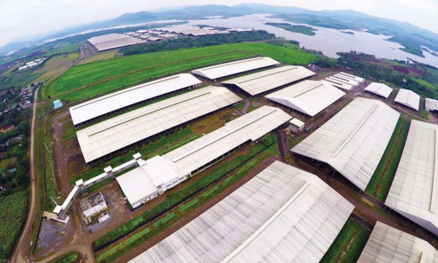 BAC A BANK “nâng bước” các dự án nông nghiệp công nghệ cao