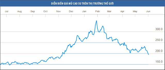 Cú sốc giá và nỗi lo doanh nghiệp cao su quay lại thời gian khó ảnh 1