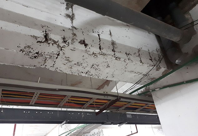 Dự án Thăng Long Victory: Chủ đầu tư cầu thị ảnh 1