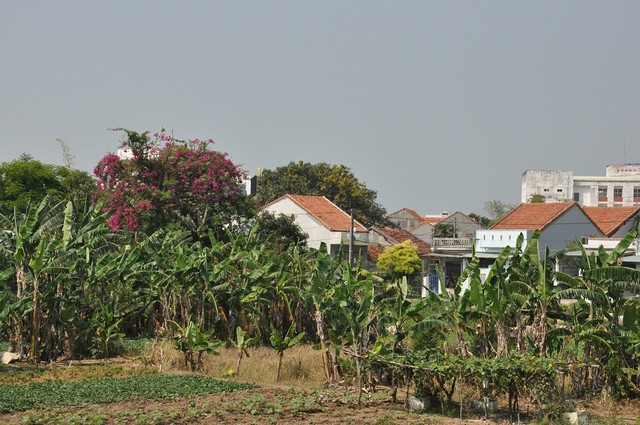 Gần 668 ha đất nông nghiệp của TP. Tuy Hòa được chuyển sang đất phi nông nghiệp ảnh 1