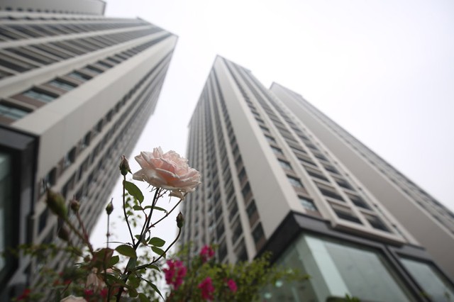 HD Mon bàn giao nhà cho cư dân ảnh 8 HD Mon bàn giao nhà cho cư dân ảnh 8