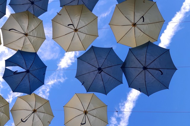 Độc đáo đường sách cà phê Buôn Ma Thuột ảnh 4