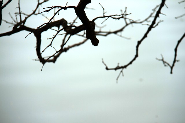 Thèm... một ly Hà Nội ảnh 2