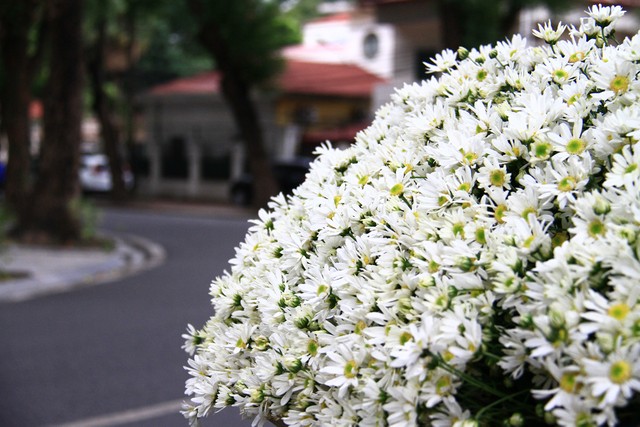 Thèm... một ly Hà Nội ảnh 1