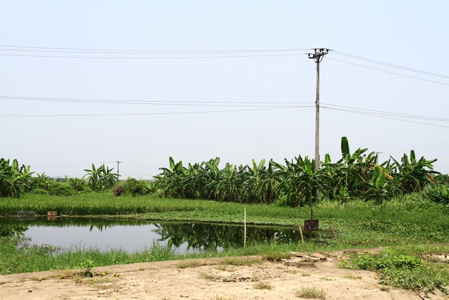 HoREA hiến kế về câu chuyện khung giá đất, bảng giá đất ảnh 1