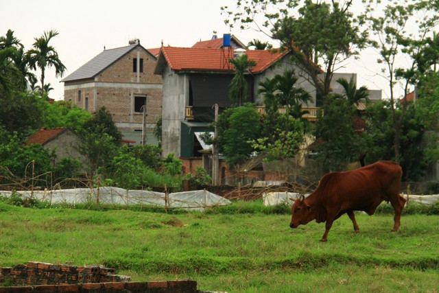 “Nghị định 25/2020/NĐ-CP giúp địa phương tự tin hơn khi giao đất” ảnh 2