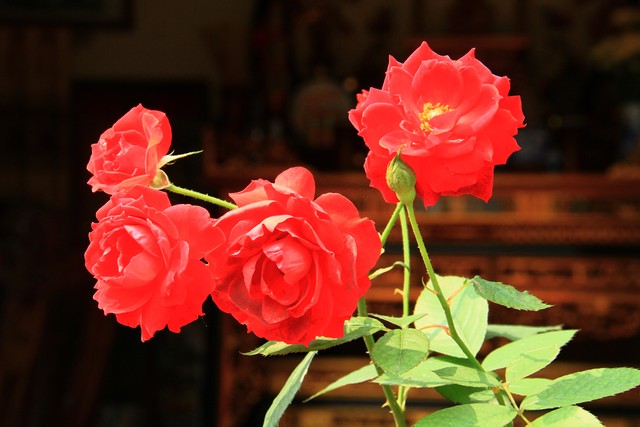 Hãy sửa soạn cho mình một tâm hồn đẹp ảnh 2