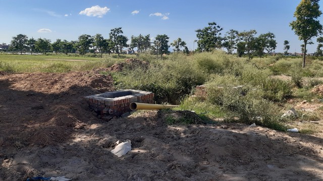 Mê Linh Vista bán lúa non, Sở Xây dựng Hà Nội nói gì? ảnh 2