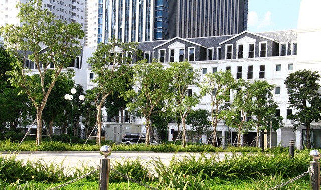 Thời gian qua, không ít biệt thự, shophouse đã có mức tăng giá từ 2 - 3 lần. Ảnh: Thành Nguyễn.