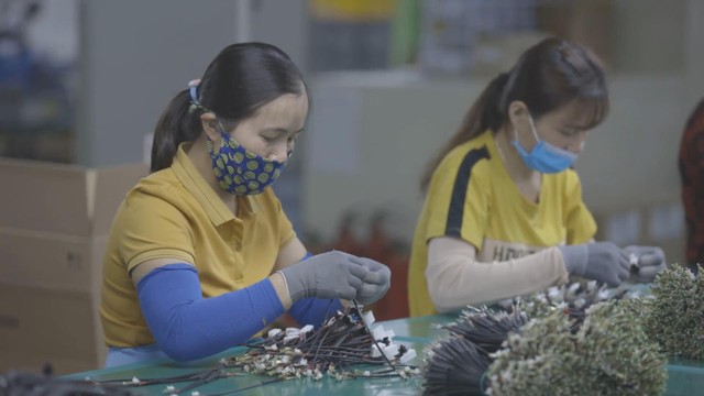 Hoạt động của các doanh nghiệp đã trở lại trạng thái bình thường.