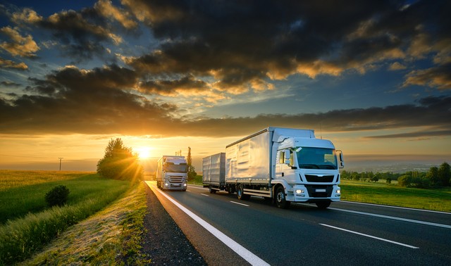 Ảnh: Shutterstock.