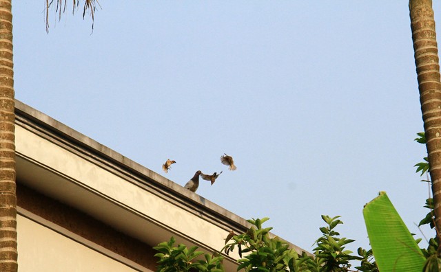 Trước mùa Đông. Ảnh: Thành Nguyễn.