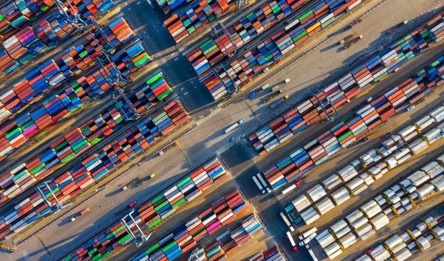 Ảnh: Shutterstock.