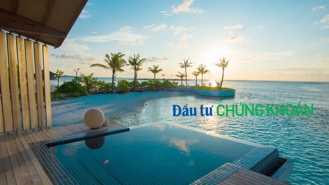 Ảnh: Shutterstock. Ảnh: Shutterstock.
