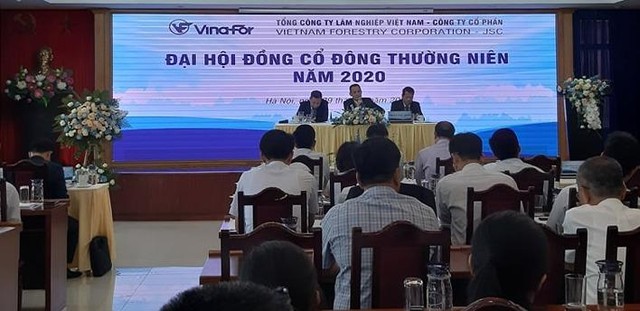 ĐHCĐ Vinafor (VIF): Cổ đông quan tâm tới khoản tiền nhàn rỗi hơn 2.600 tỷ đồng gửi ngân hàng ảnh 1