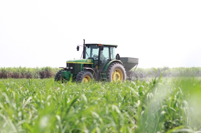 Thành Thành Công - Biên Hòa (SBT) đẩy mạnh tái cơ cấu cấu nguồn vốn ảnh 1